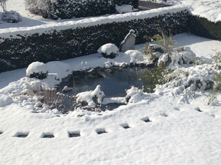 Garten mit Biotop, Winter