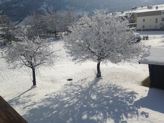 Garten mit Obstbäumen