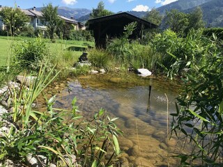 Garten mit Biotop