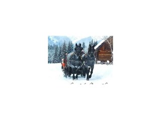 Pferdeschlittenfahrten