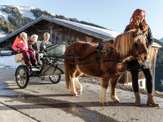 holzegghof-felsch-9622