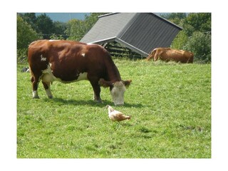 Bilder Kronawendthof 031