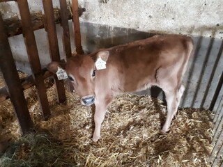 18076989_1441437845924170_7795613388630285273_o