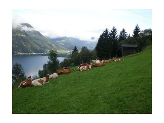 Bilder Kronawendthof 025