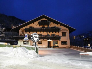 Winteraufnahme Alpenrose Zell am See