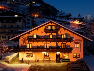 1 Winter Nachtaufnahme Pension Alpenrose Foto Igel