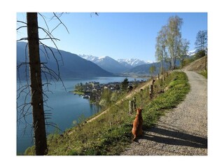 Blick von der Einödsiedlung Richtung Schüttdorf