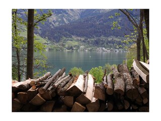 auch fischen am Zellersee