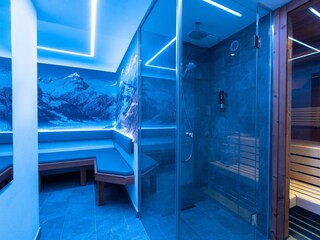 VIP Sauna