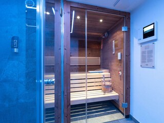 VIP Sauna
