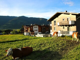 Apt Peter Adler Resort East View_8475