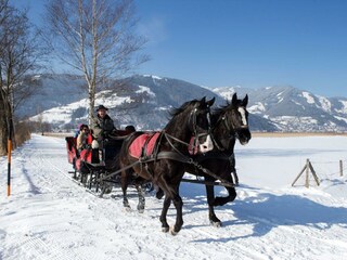 Pferdeschlittenfahrt