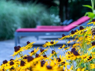 Hotel Der Schütthof Garten
