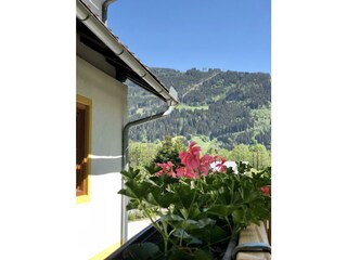 D991BFD5-88AE-472A-9E52-539FF1A25F36