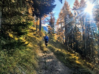 Wandern
