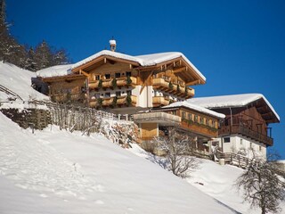 Pfefferbauer im Winter