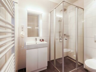 bellevue 0.1 low res-7