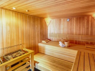 3.1 Sauna Bellevue