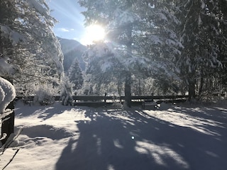 Wintertraum im Garten Forsthaus Reit im Winkl