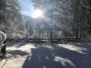 Wintertraum im eigenen Garten