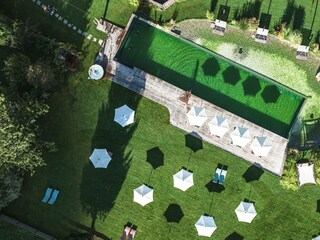 53275291491_005a696719_o