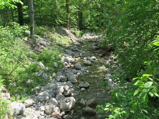 Holiday apartment Aschau im Chiemgau Outdoor Recording 13