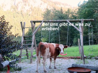 Appartamento per vacanze Aschau im Chiemgau Registrazione all'aperto 1