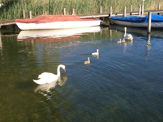 Vakantieappartement Aschau im Chiemgau Omgeving 30