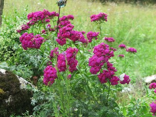 Appartement de vacances Aschau im Chiemgau Environnement 25