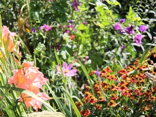 Appartement de vacances Aschau im Chiemgau Environnement 23