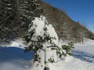Appartement de vacances Aschau im Chiemgau  42