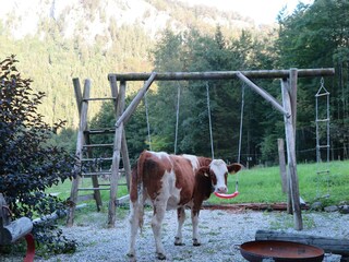 Apartamento de vacaciones Aschau im Chiemgau Características 21