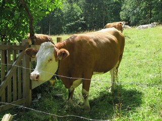 Appartamento per vacanze Aschau im Chiemgau Caratteristiche 16