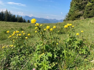 Appartement de vacances Aschau im Chiemgau  30