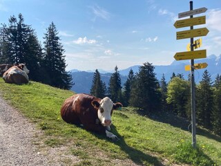 Vakantieappartement Aschau im Chiemgau Kenmerken 22