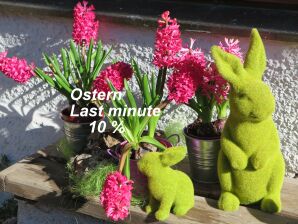 Ferienwohnung Schossbach im Haus Waldwinkel