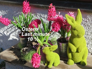 Osterangebot