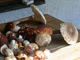 Appartement de vacances Aschau im Chiemgau  26
