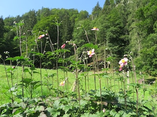 Appartement de vacances Aschau im Chiemgau  22