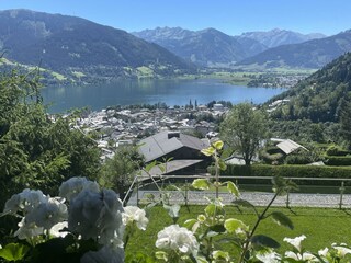 image_50413569