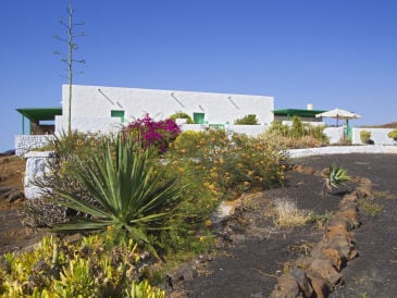 Finca La Hoya