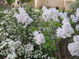 Casa per le vacanze Saint-Saturnin-lès-Apt Registrazione all'aperto 15