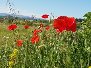 Vakantiehuis Saint-Saturnin-lès-Apt Omgeving 28