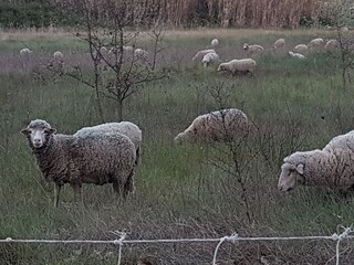 Casa per le vacanze Saint-Saturnin-lès-Apt Ambiente 26