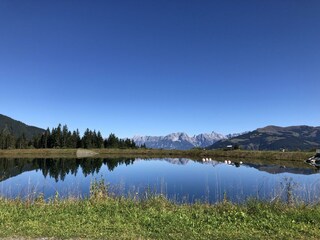 Speicherteich Plettsaukopf