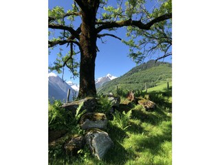Maiskogel - Blick Richtung Kitzsteinhorn