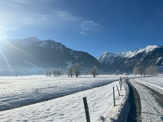 Moos Winter