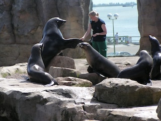 Der Zoo am Meer: Gratis-Eintritt für unsere Gäste!