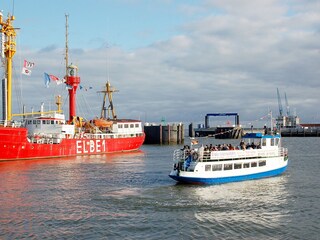 Harbor tour+boat trip to the seal banks free of charge