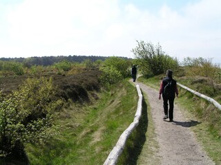 Pure nature around Cuxhaven (for example heath + moors)